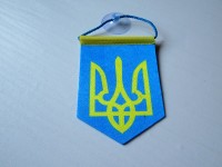 Вимпел  Україна 8 см