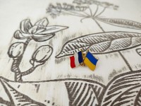 Україна - Франція Значок Украина - Франция