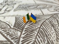 Україна Ірландія значок Украина Ирландия